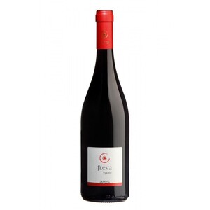 ΣΚΟΥΡA ΦΛΕΒΑ SYRAH 0,7 LIT