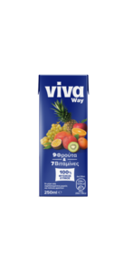 VIVA Way Φυσικός Χυμός με 9 Φρούτα και 7 βιταμίνες 250ml